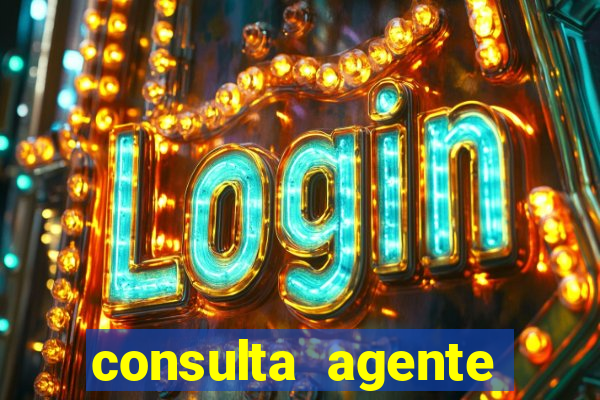 consulta agente autuador sp